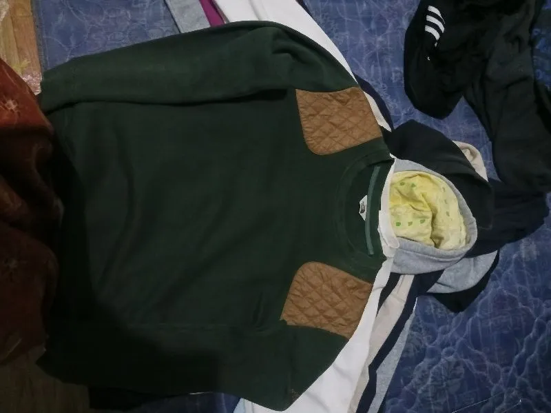 The North face photo 1