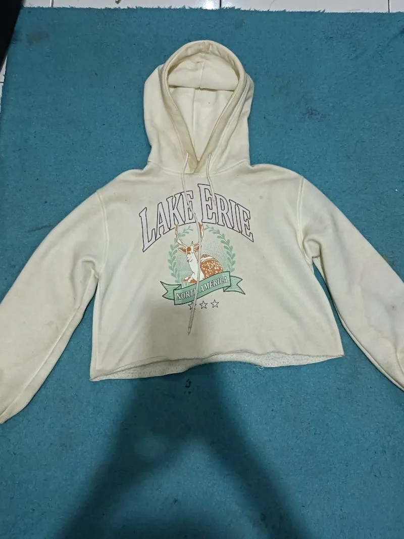 Hoodie crop  photo 1