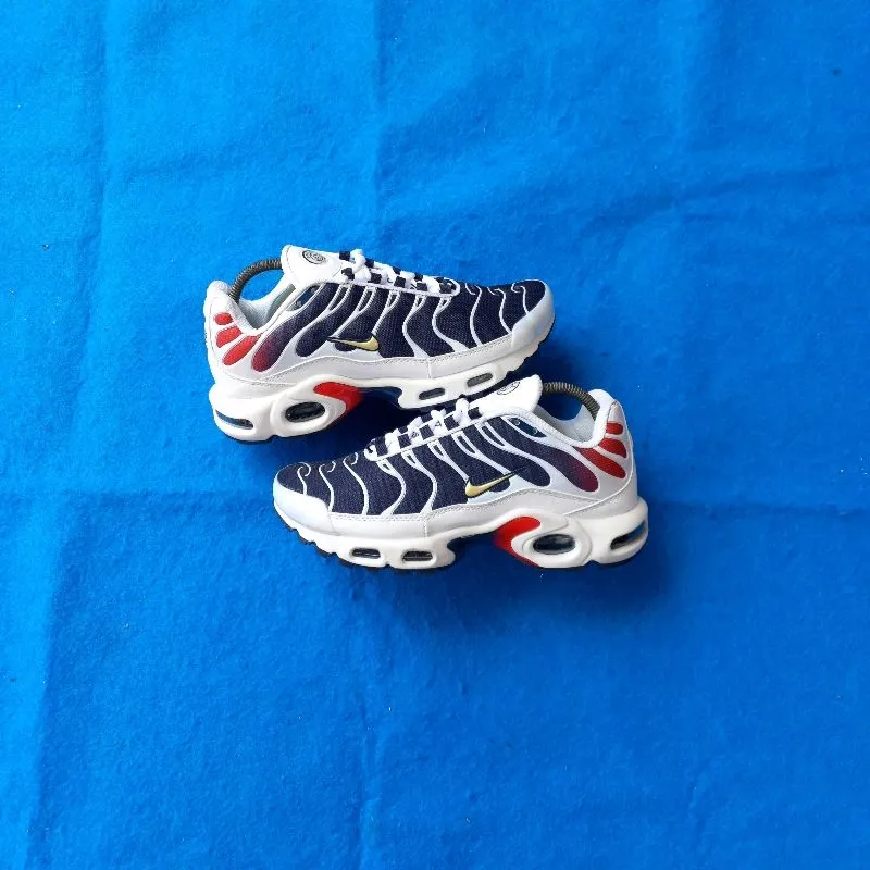 Nike tn psg photo 1