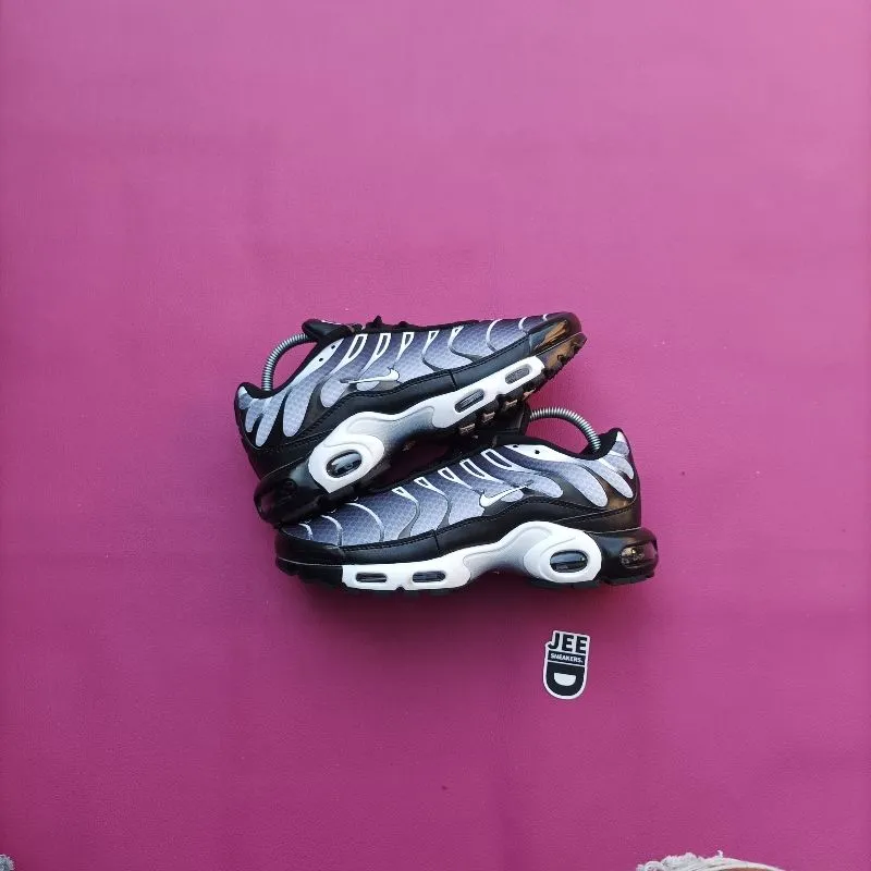 Nike Airmax Plus TN photo 1