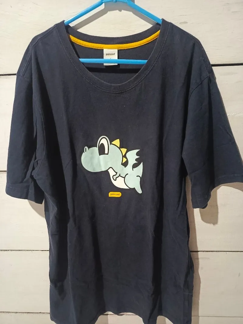 Pancoat Shirt photo 1