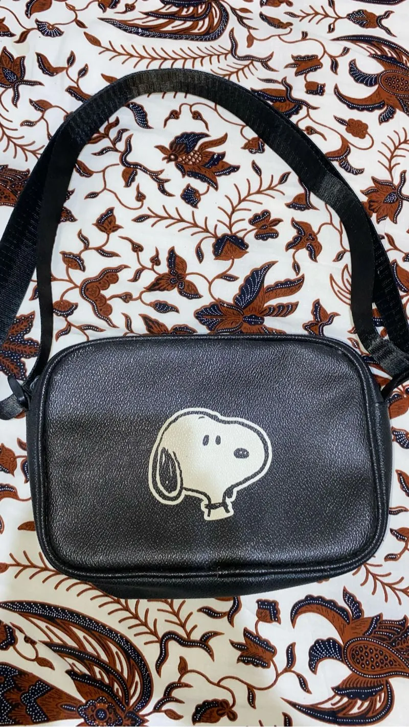 Bag snoopy photo 1