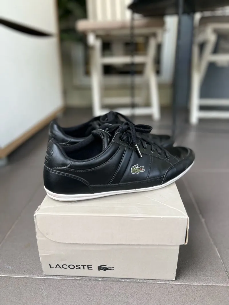 Jual sepatu lacoste