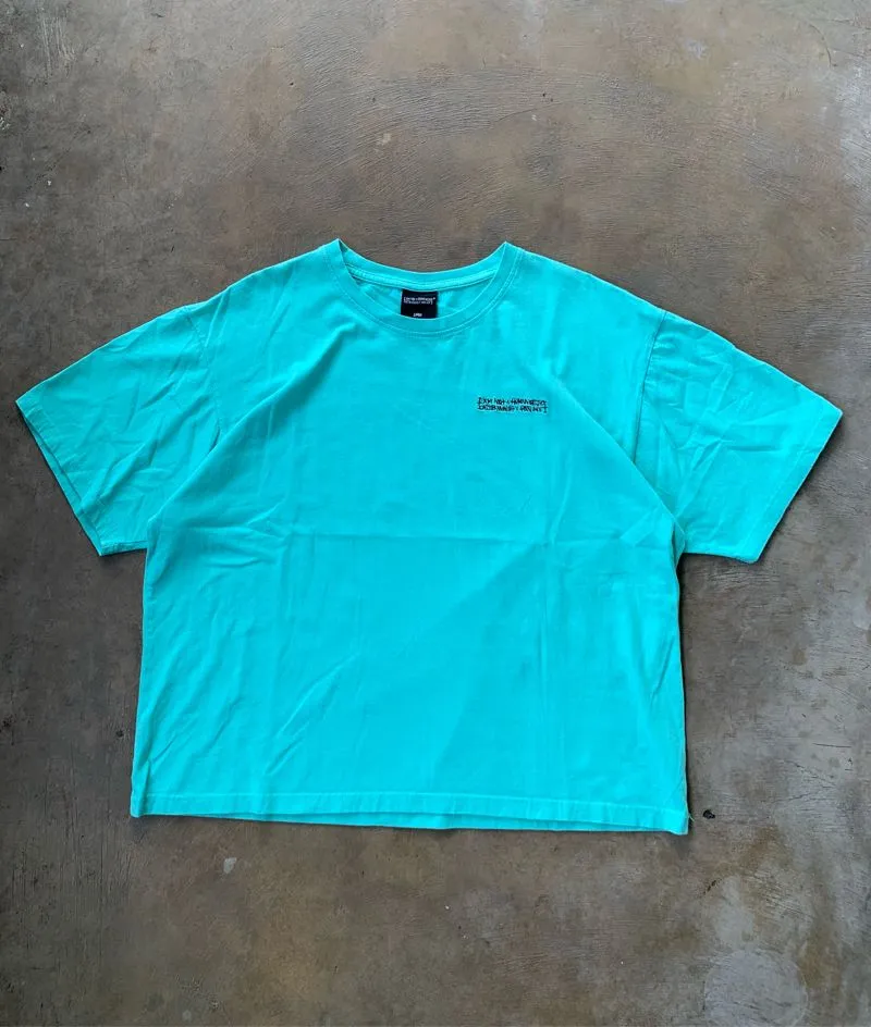 T-Shirt Iam not human being photo 1