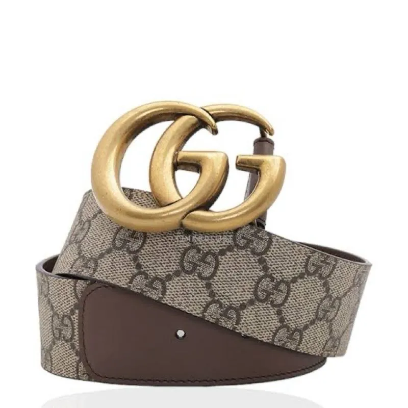 Gucci Women Belt GG Supreme in Brown 3 cm  photo 1