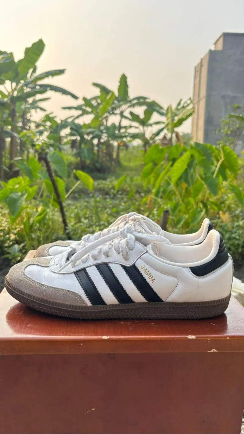Samba OG  photo 1