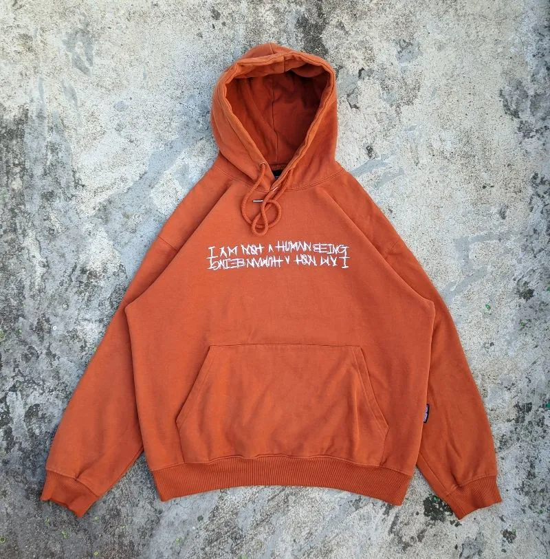 Hoodie i am not a human being photo 1