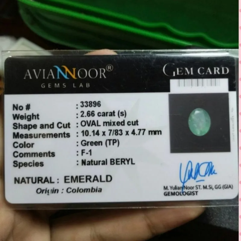 natural jambrudd memo colombia photo 1