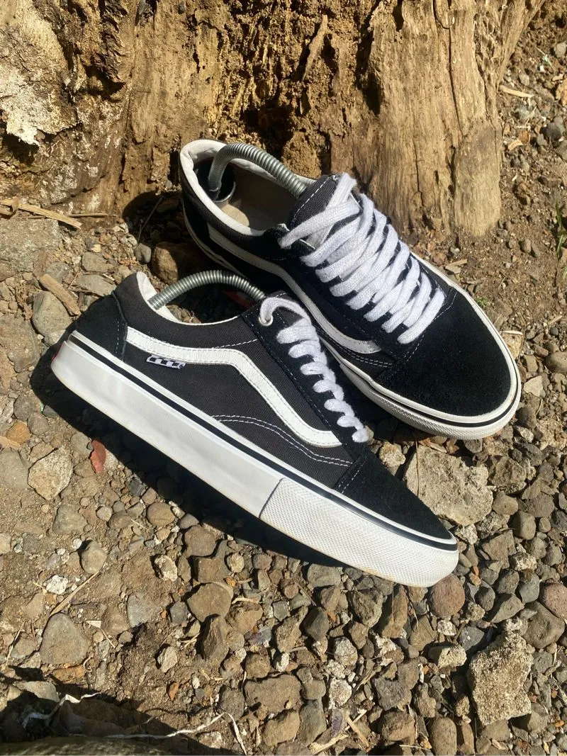 Vans oldskool proskate photo 1