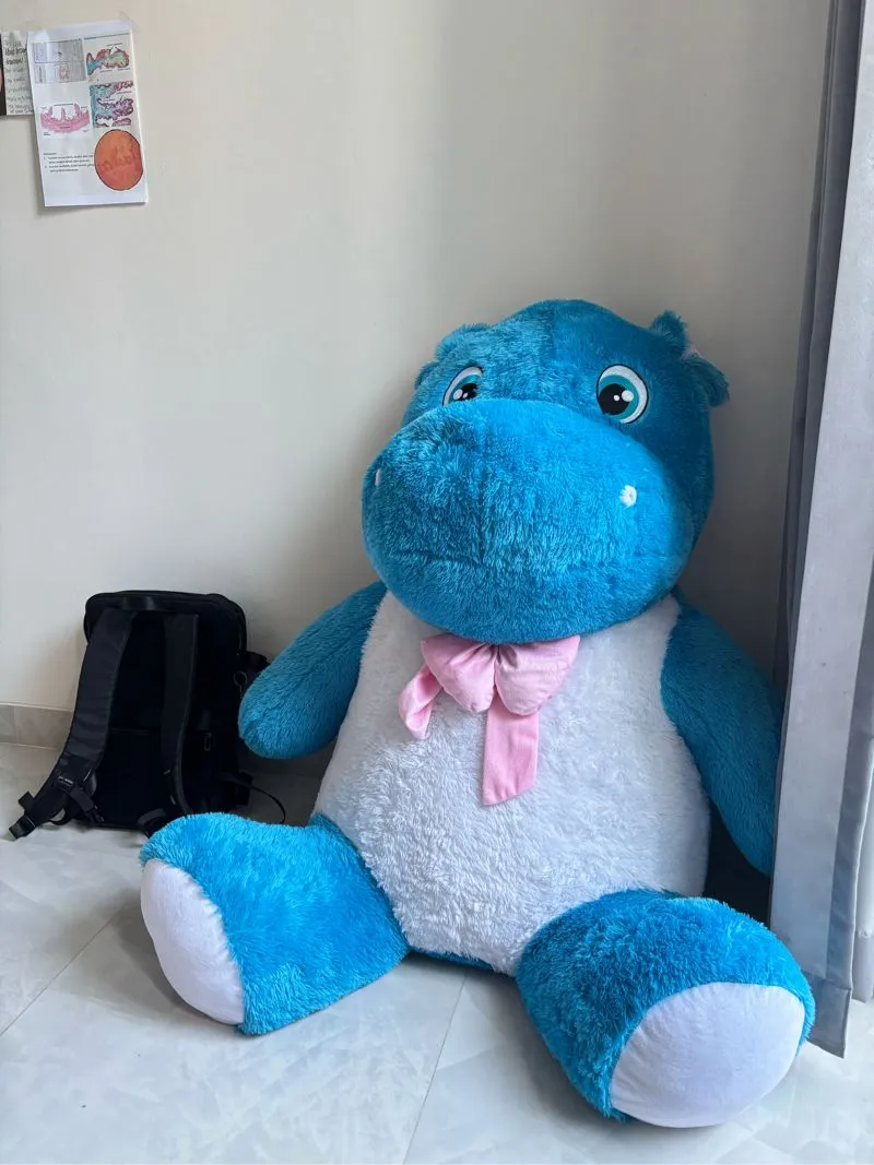 Huge ass teddy bear photo 1