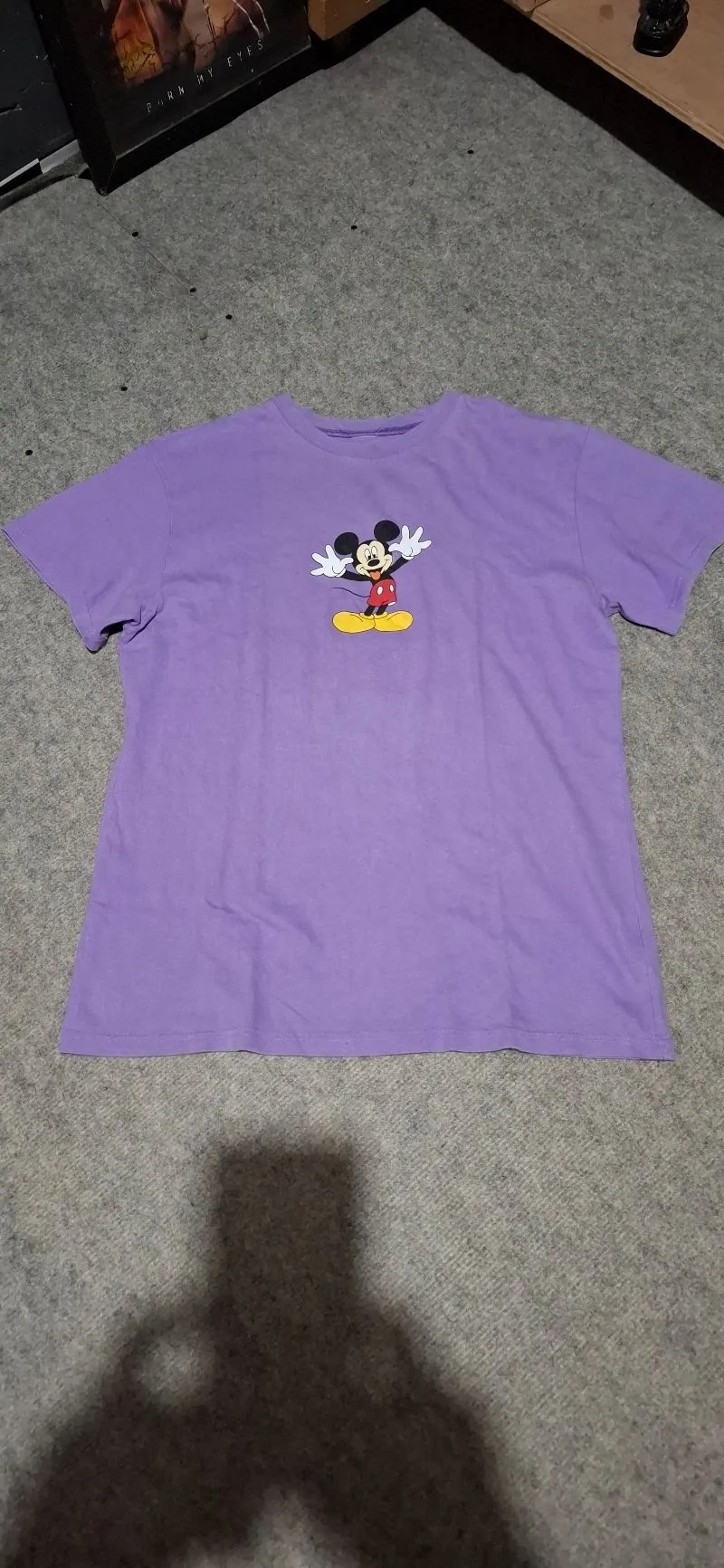 Mickey mouse photo 1