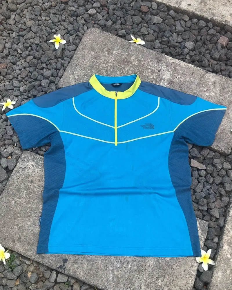 The North Face Sportswear Casual Jersey Pria blue photo 1