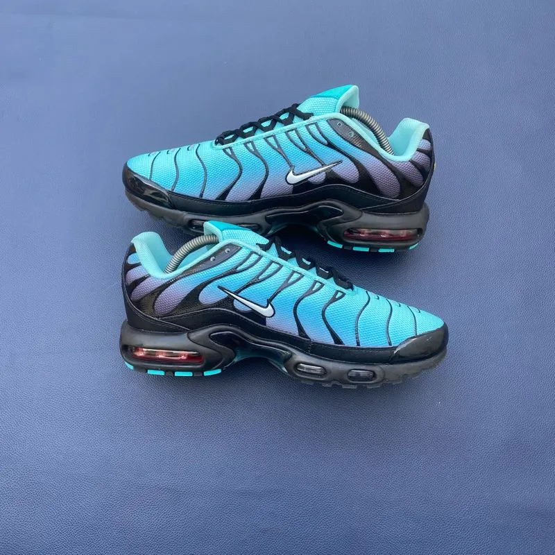 Nike Air Max Plus TN photo 1