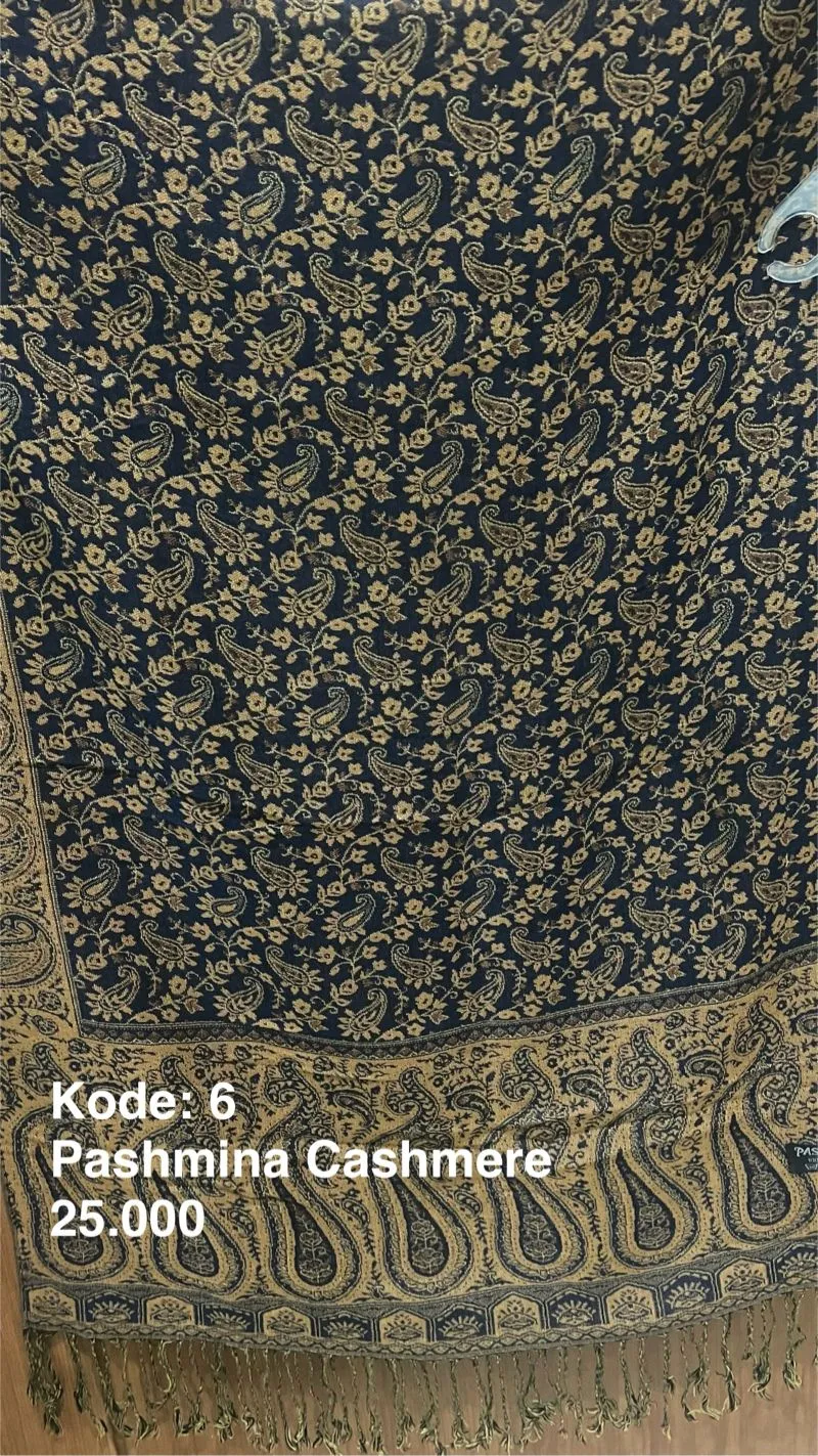 pashmina cashmere photo 1