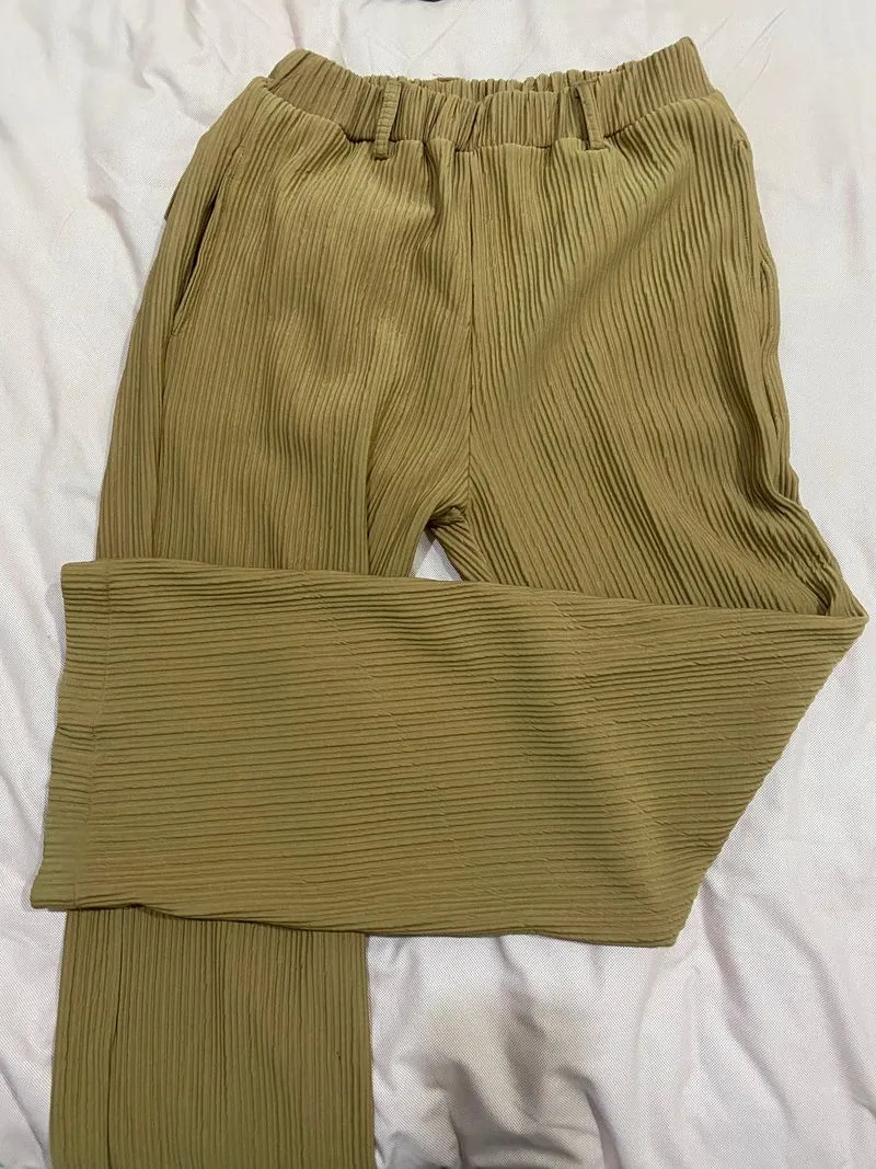 PricklyCholla Pleated Pants Isseymiyake sand beige photo 1