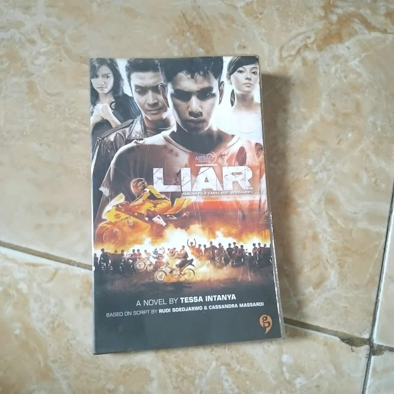 Buku Novel Liar Raffi Ahmad photo 1