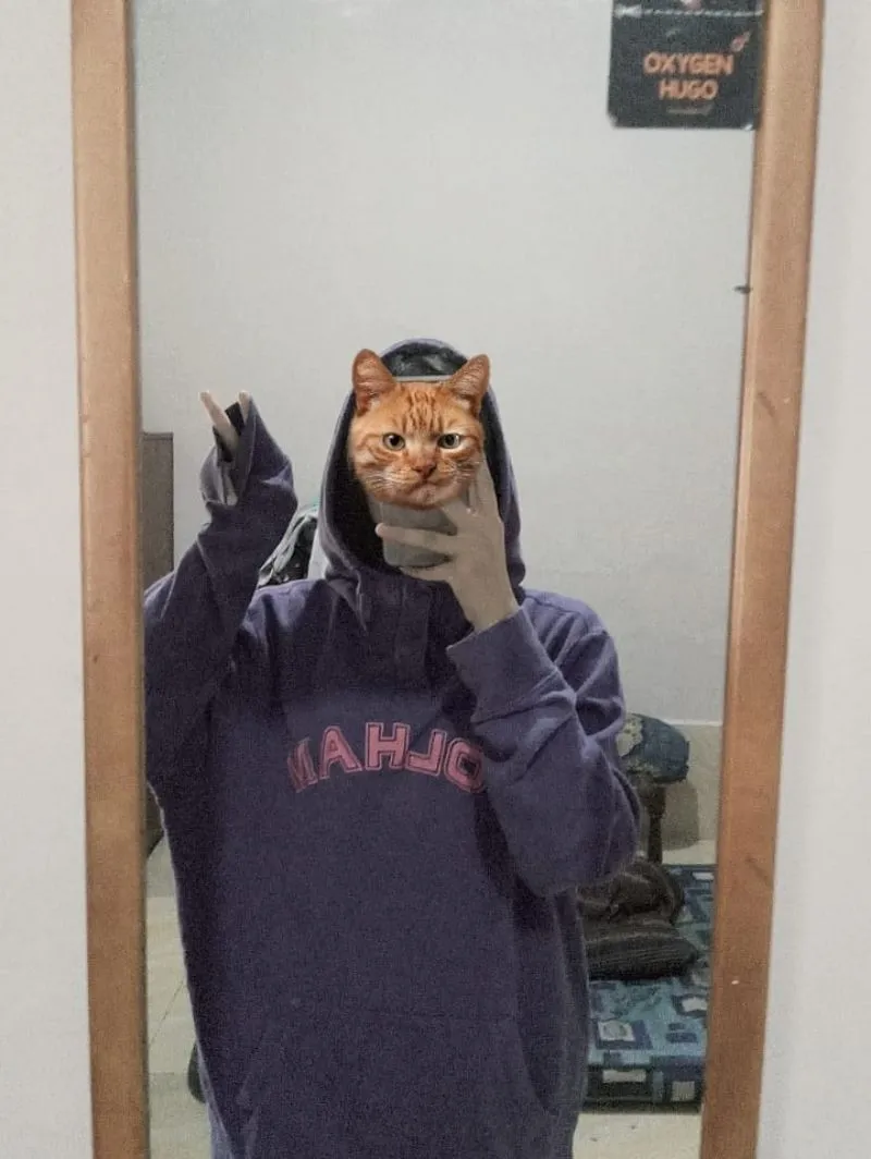 Hoodie Polham Unisex photo 1