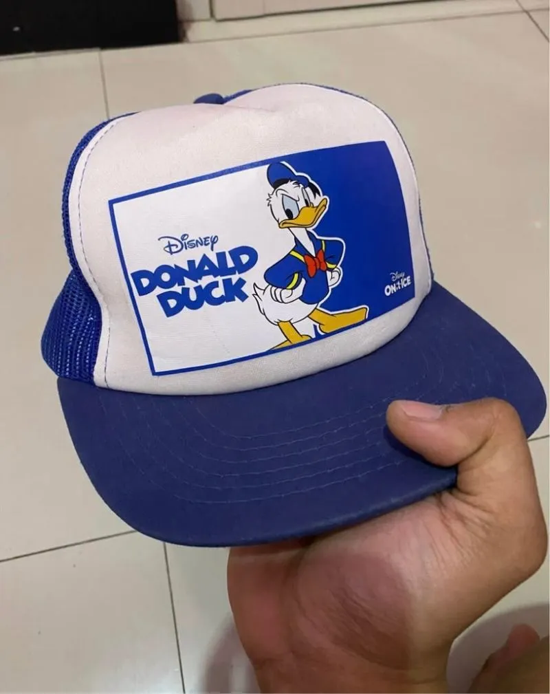 Trucker donaldDuck photo 1