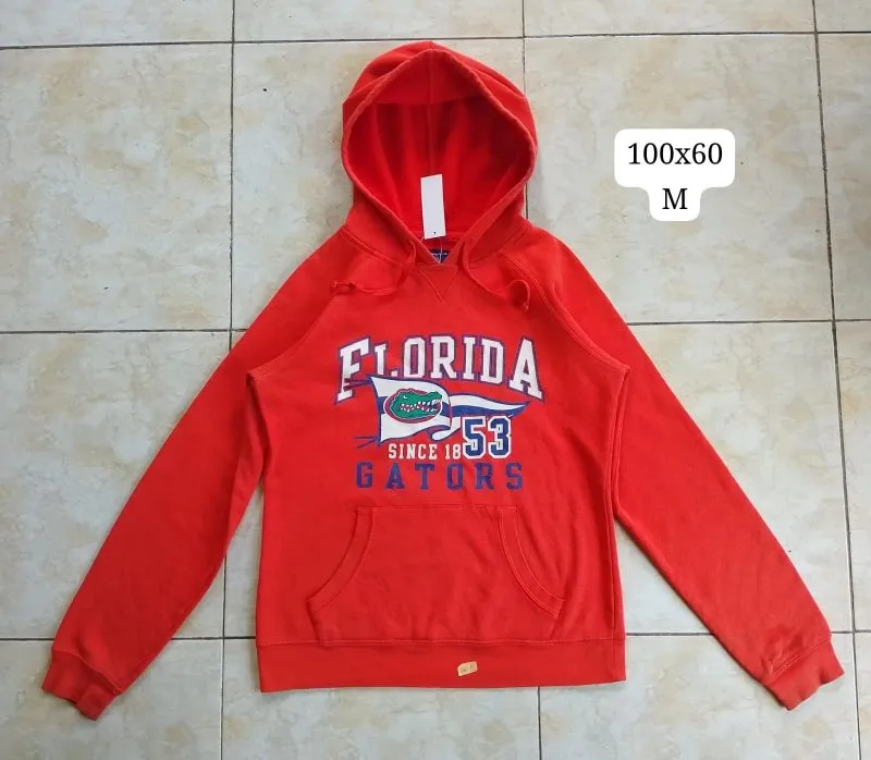 Hoodie champion Florida gators photo 1
