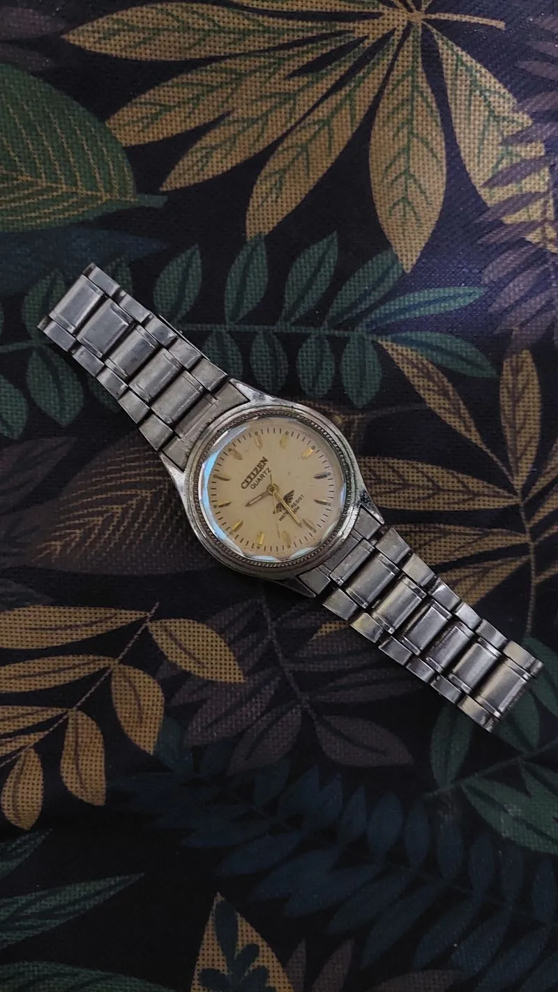 Citizen  photo 1