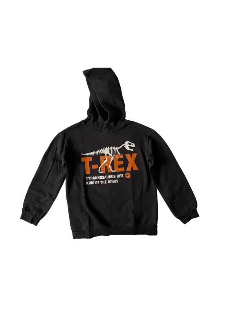 Sweater T-Rex  photo 1
