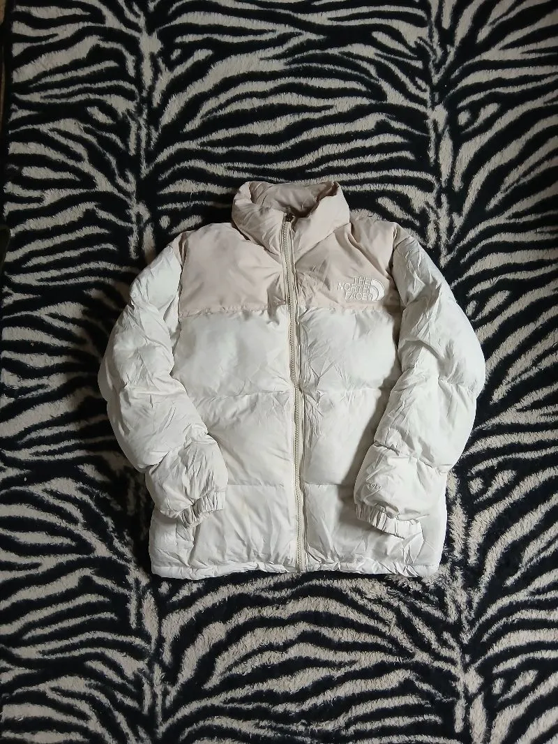 TNF Nuptse Stow Pocket photo 1
