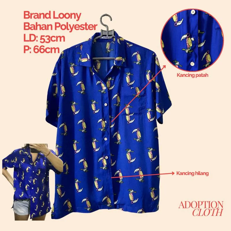 Blue Shirt Loony photo 1