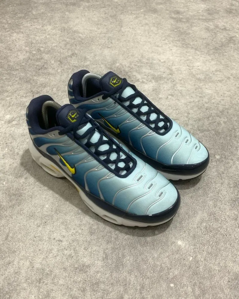 NIKE AIR MAX TN PLUS BLUE ICE SILVER Preloved