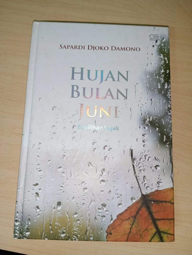Hujan Bulan Juni  photo 1