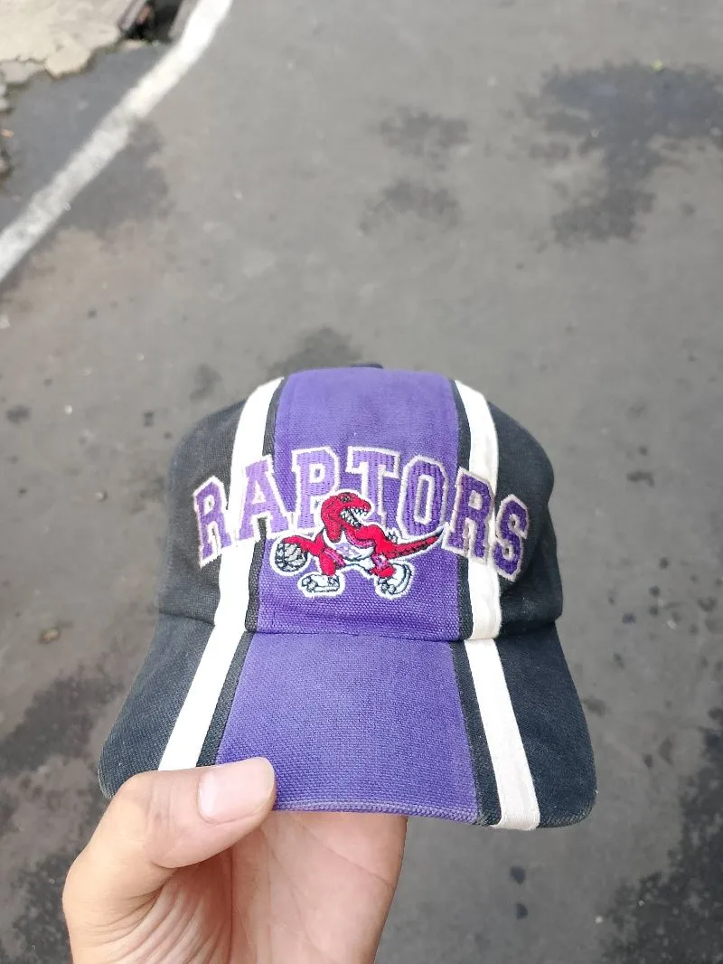 Raptors starter  photo 1