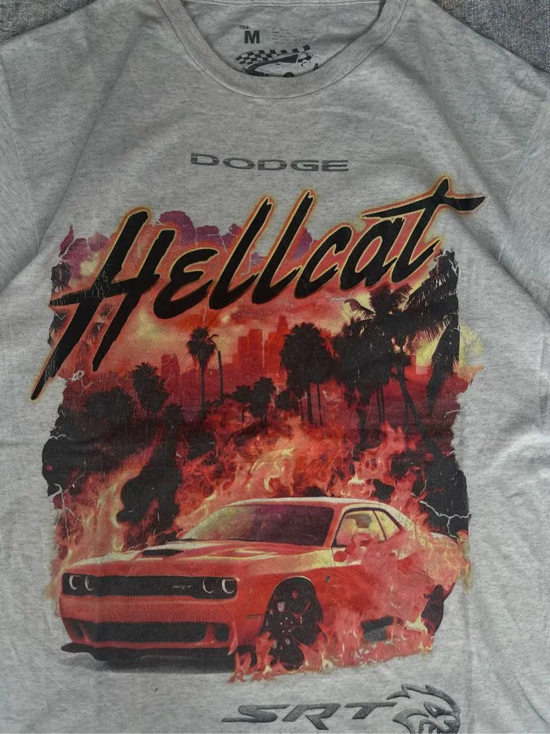 DodgeXReason photo 1