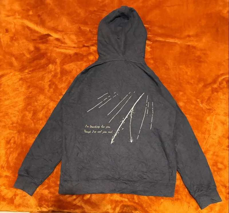 Your Name Sweatshirt Hoodie Logo Movie Anime Vintage photo 1