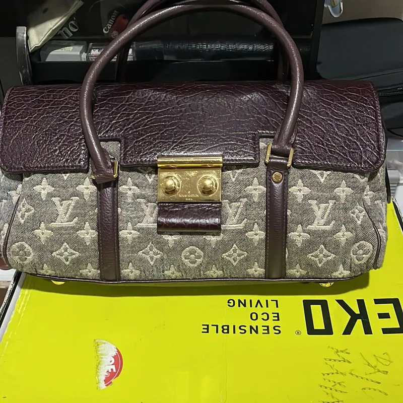 LV canvas photo 1