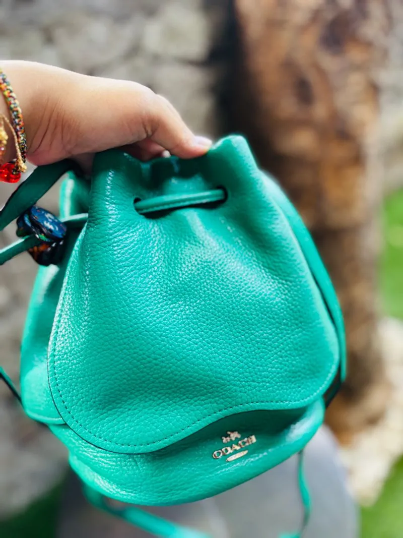 Drawstring Pouch Coach Petal Wristlet Coach Leaf Green Petal Bag