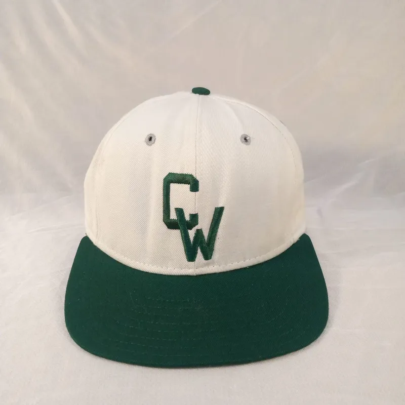 Topi Baseball Terriers CW Logo Fitted DeLong USA photo 1