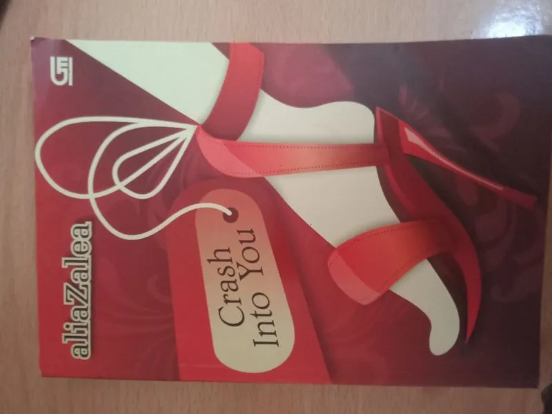 Novel Crash into you - AliaZalea photo 1