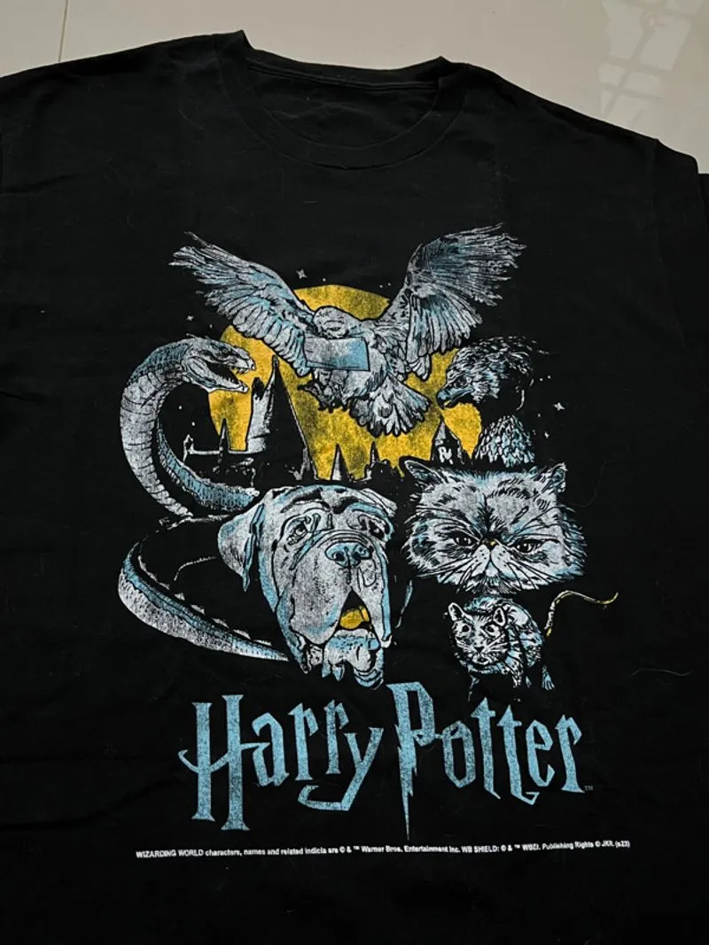 Kaos Harry Potter Lost Tag photo 1