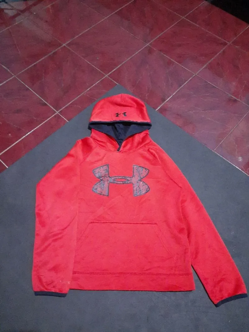Hoodie Tech Under Armour Big Logo photo 1