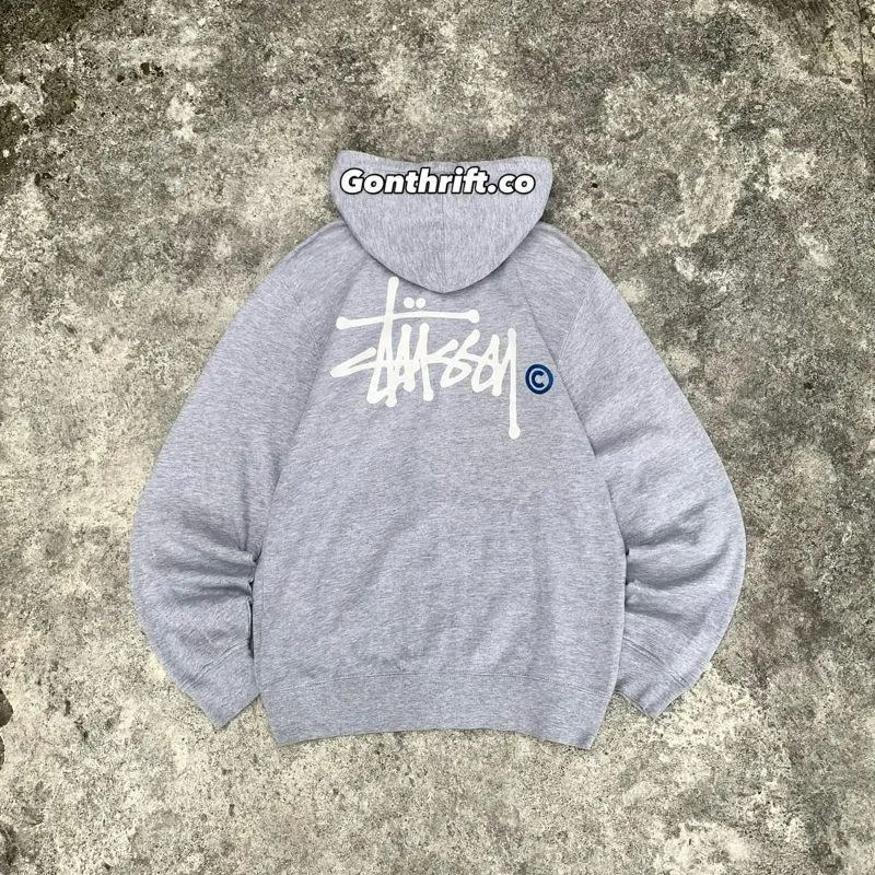 STUSSY BASIC ZIP HOODIE photo 1