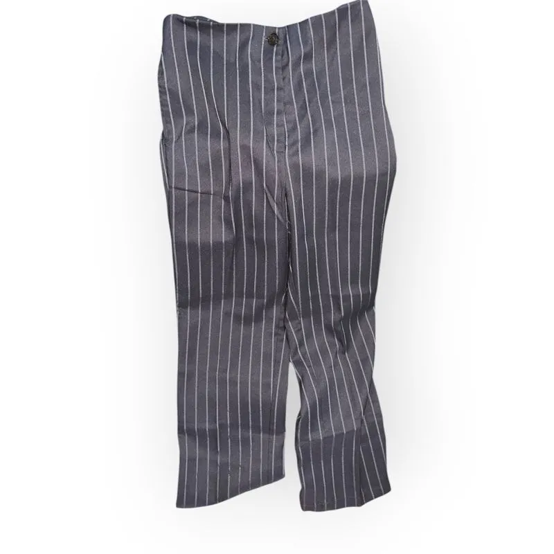 Pinstripe pants | gaudi photo 1