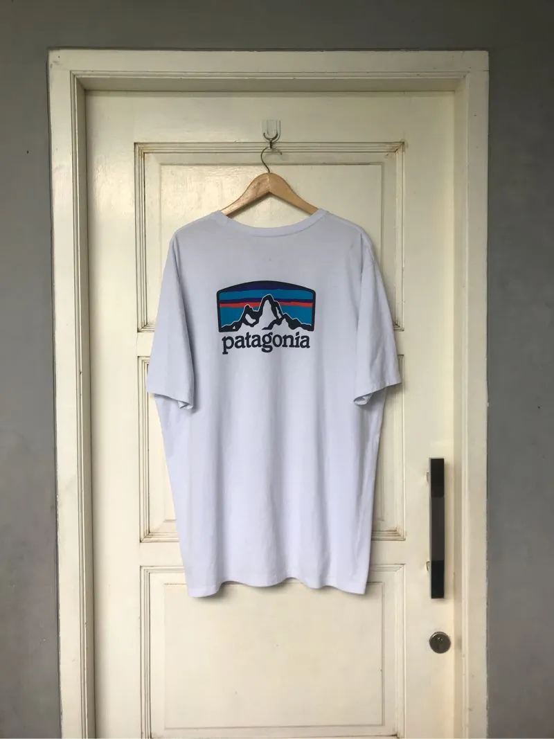 Kaos / T-Shirt Patagonia Fitz Roy Horizons Responsibili-Tee  photo 1