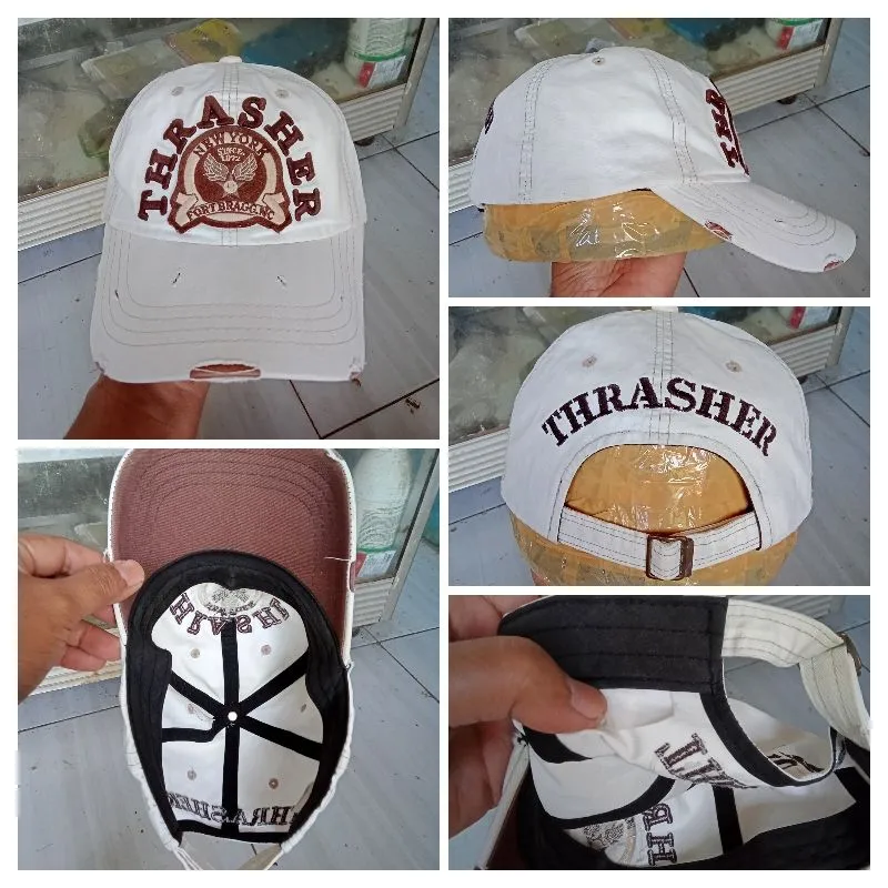 Topi thrasher  photo 1