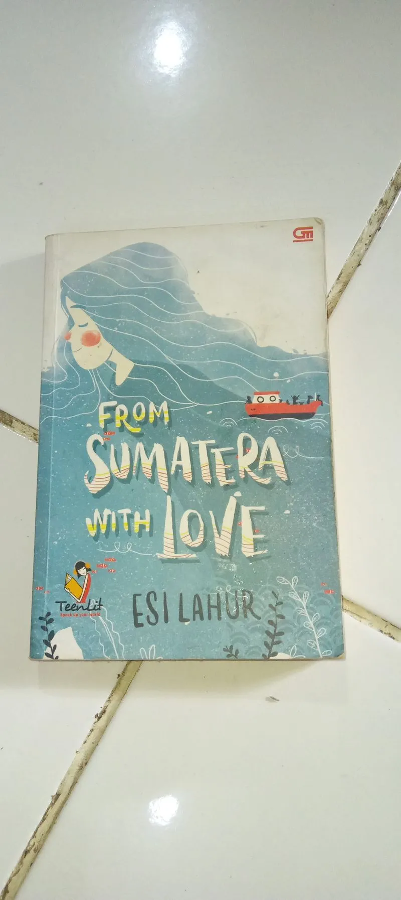 Novel From Sumatera With Love photo 1