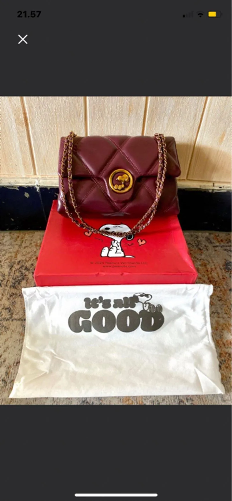 Snoopy disney bag photo 1