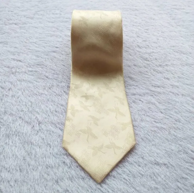 Nicole StGilles Paris Tie | Dasi Sutra Original photo 1