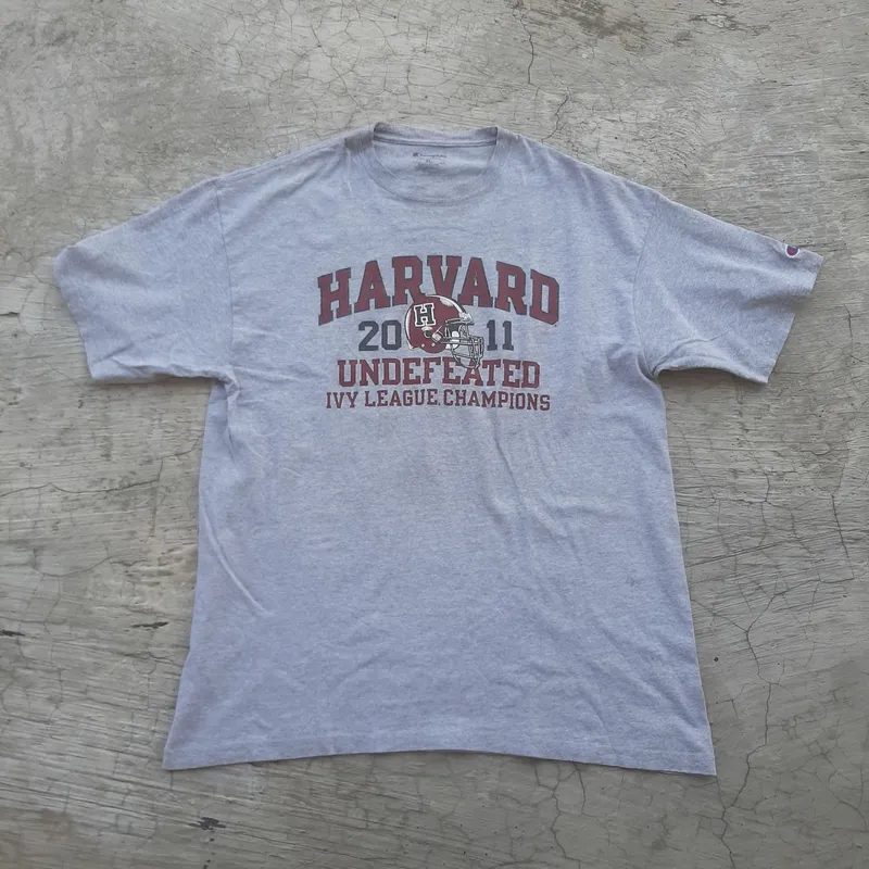 Champion Sportswear T-shirt Pria gray photo 1