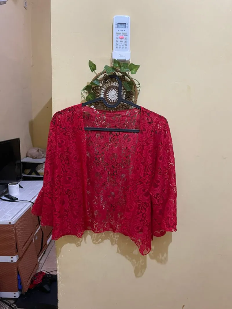 Red Lace Crop Top photo 1
