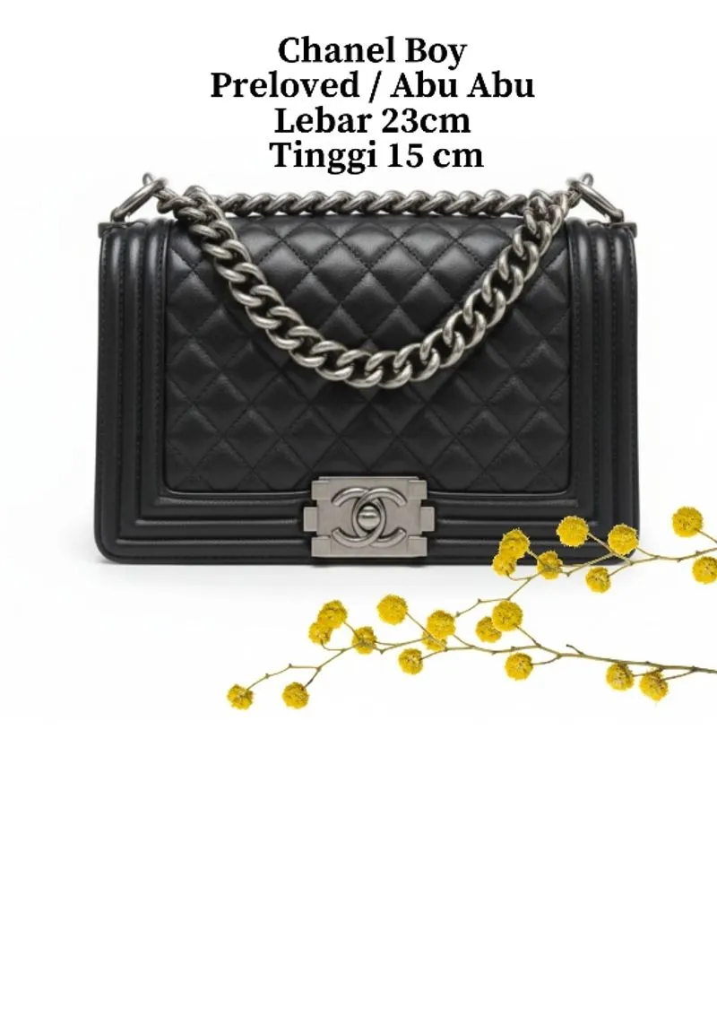 Chanel photo 1
