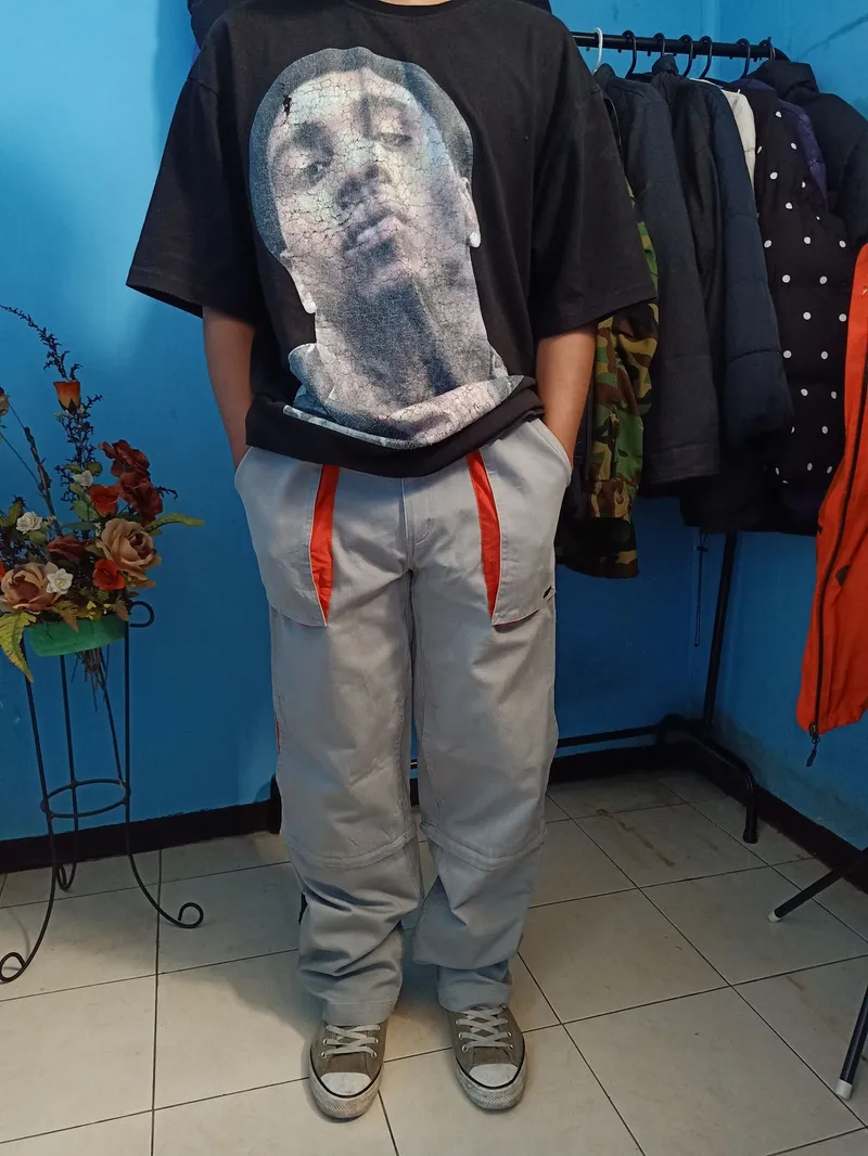 VANS Streetwear Skater Casual pants Pria gray photo 1