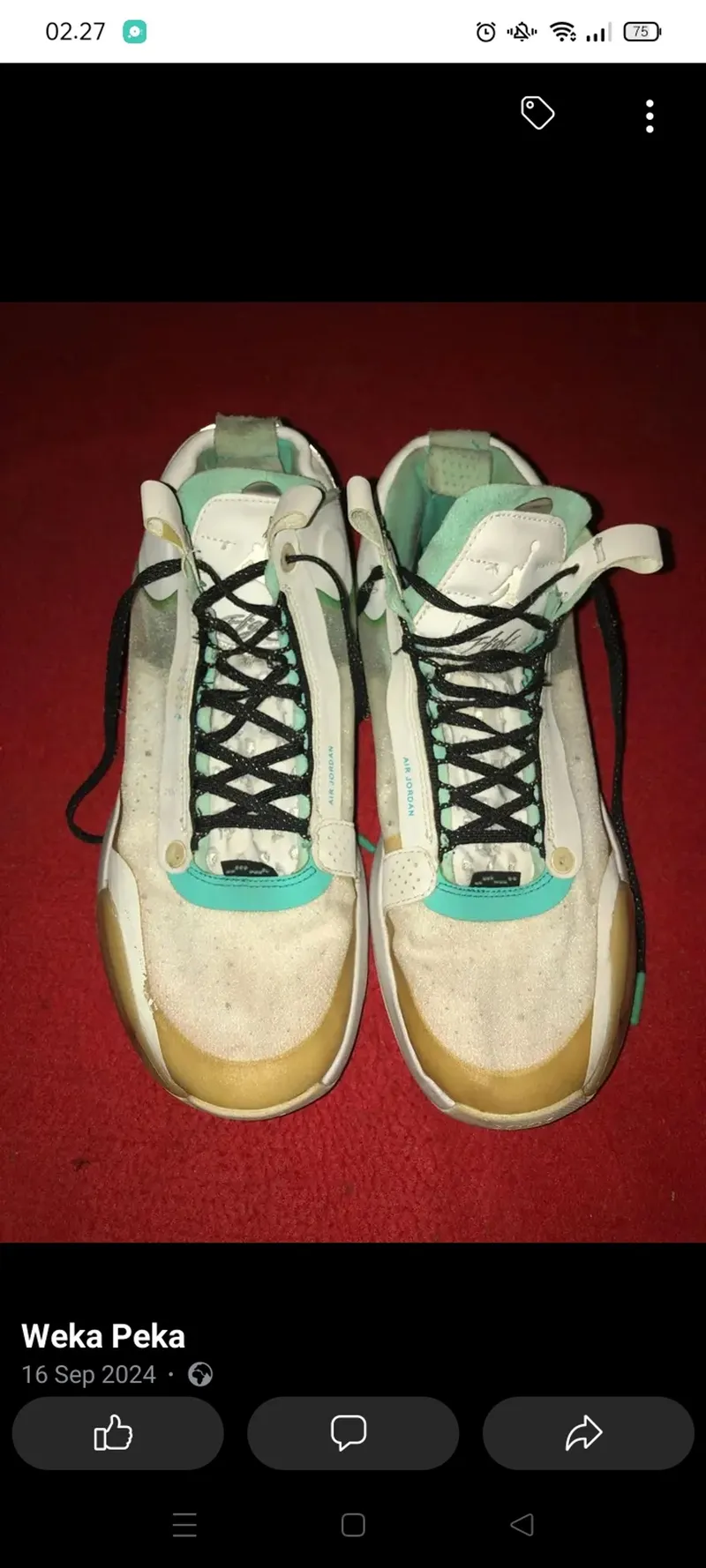 Nike Air Jordan Sportswear Minimalist Pria gold white green gray photo 1